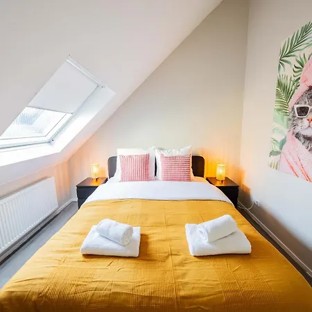 Apartment Zwart Janstraat
